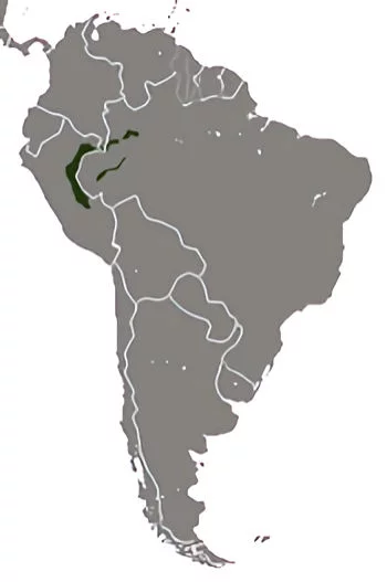 Distribución geográfica del Cacajao