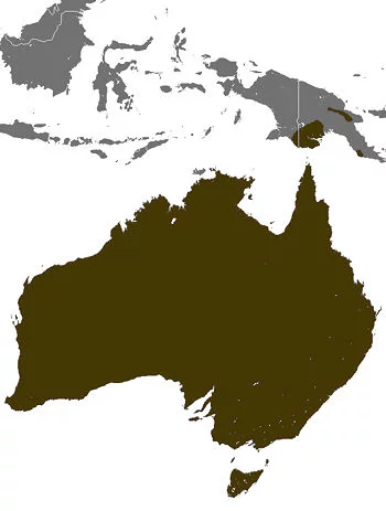 Distribución Geográfica del Equidna