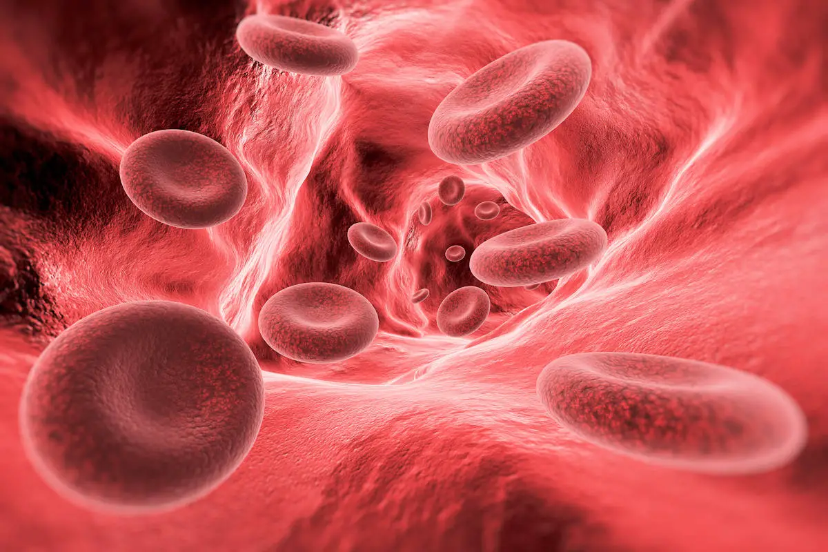 ▷ Células Sanguíneas » Características, Alimentación, Hábitat,  Reproducción, Depredadores