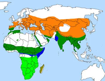 Área geográfica de la Abubilla.