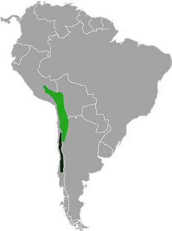 Área geográfica de la Chinchilla