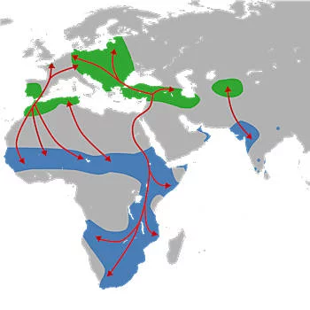 Área geográfica de la Cigüeña