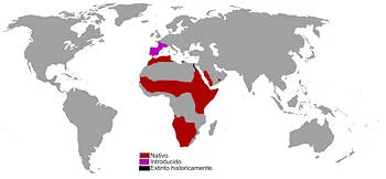 Área Geográfica de la Gineta