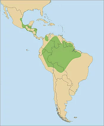 Área Geográfica de la Guacamaya
