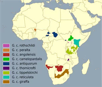 Área Geográfica de la Jirafa