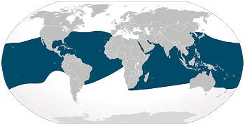 Área Geográfica de la Mantarraya