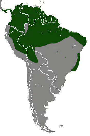 Área Geográfica de la Marmosa