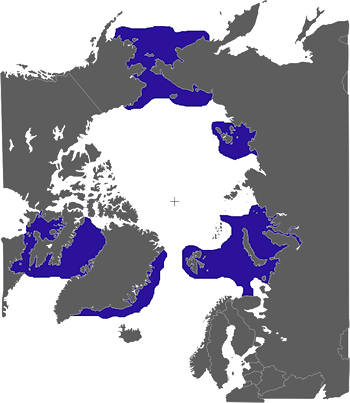 Área Geográfica de la Morsa