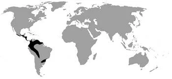Área Geográfica de la Rana de Cristal