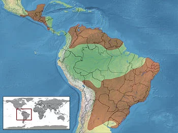 Área Geográfica de la Serpiente Cascabel