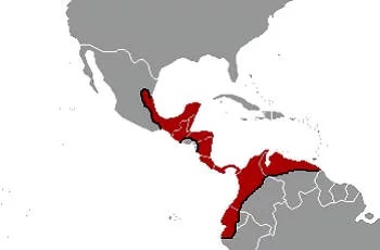 Área Geográfica de la Serpiente Nauyaca