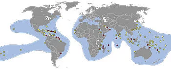 Área Geográfica de la Tortuga Carey