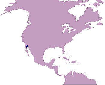 Área Geográfica de la Vaquita Marina