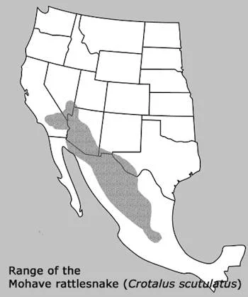 Área Geográfica de la Víbora del Desierto