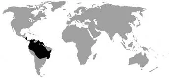 Área Geográfica de las Ranas Venenosas