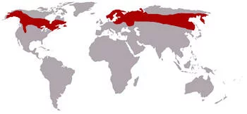 Área geográfica del Alce