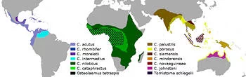 Área geográfica del Cocodrilo
