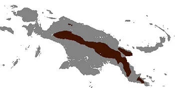 Área Geográfica del Equidna de Hocico Largo