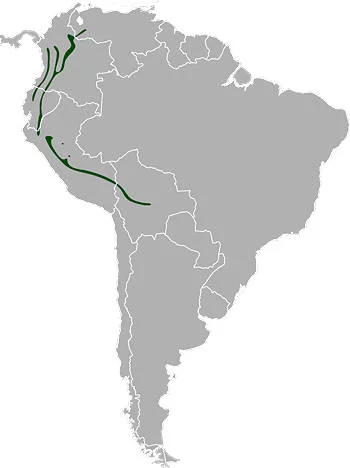 Área Geográfica del Gallito de las Rocas