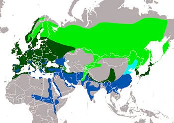 Área Geográfica del Gavilán