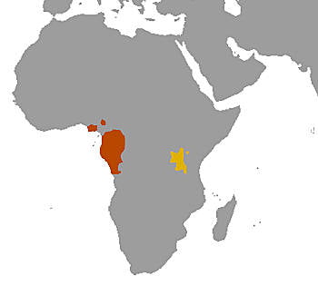 Área Geográfica del Gorila