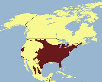 Área Geográfica del Guajolote Silvestre