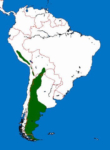 Área Geográfica del Guanaco