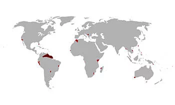 Área Geográfica del Guppy