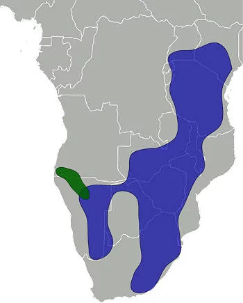 Área Geográfica del Impala