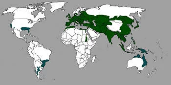 Área Geográfica del Jabalí
