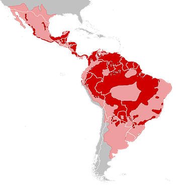 Área Geográfica del Jaguar