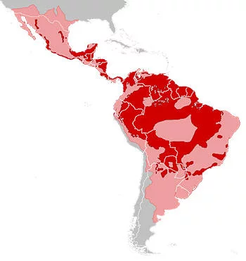 Área Geográfica del Jaguar