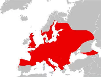 Área Geográfica Lagarto Legless
