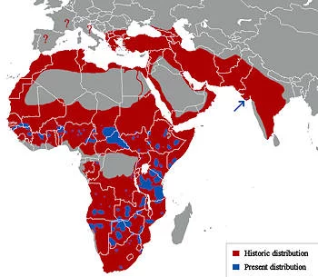 Área Geográfica del León