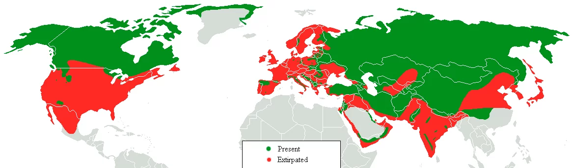 Área Geográfica del Lobo