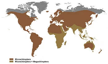 Área Geográfica del Murciélago