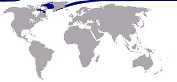 Área Geográfica del Narval