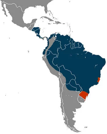 Área Geográfica del Oso Hormiguero