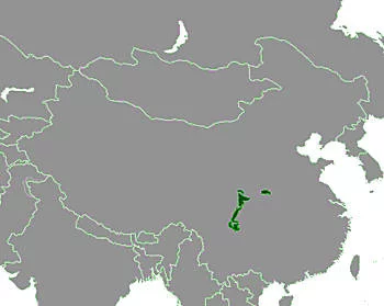 Área Geográfica del Oso Panda