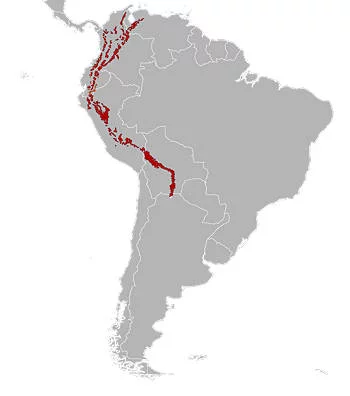 Área Geográfica del Oso de Anteojos
