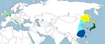 Área Geográfica del Pato Mandarín