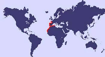 Área Geográfica del Percebe