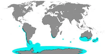 Área Geográfica del Pingüino
