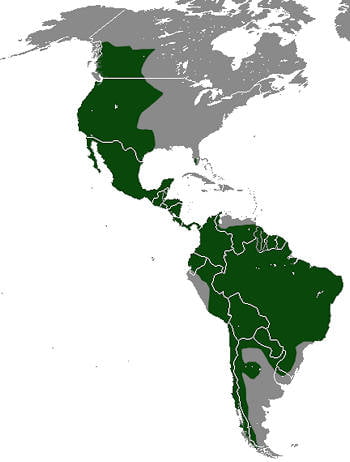 Área Geográfica del Puma