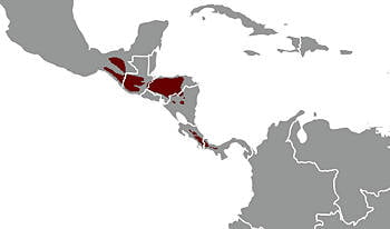Área Geográfica del Quetzal