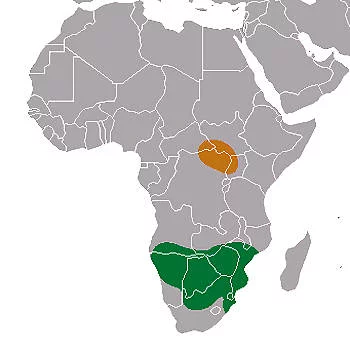 Área Geográfica del Rinoceronte Blanco