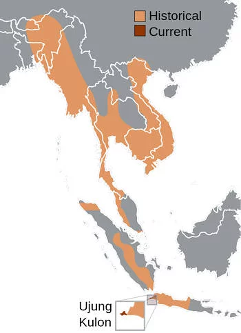 Área Geográfica del Rinoceronte de Java