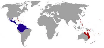 Área Geográfica del Sapo Gigante