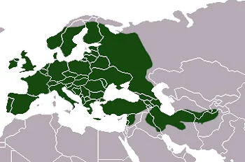 Área Geográfica del Tejón