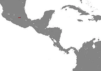 Área Geográfica del Teporingo